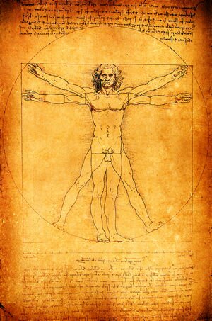 Da vinci human.jpg